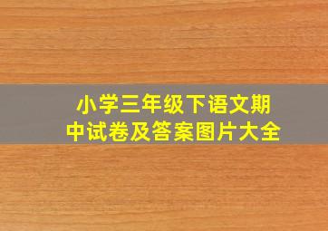 小学三年级下语文期中试卷及答案图片大全