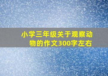 小学三年级关于观察动物的作文300字左右