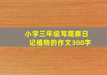 小学三年级写观察日记植物的作文300字