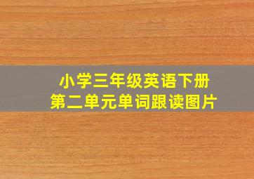 小学三年级英语下册第二单元单词跟读图片