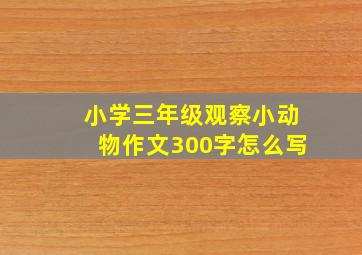 小学三年级观察小动物作文300字怎么写