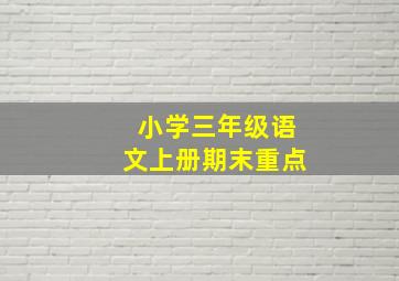 小学三年级语文上册期末重点