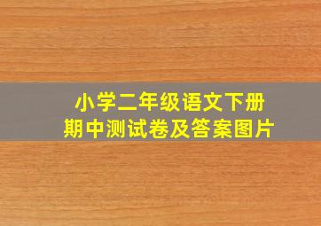 小学二年级语文下册期中测试卷及答案图片