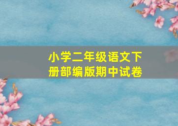 小学二年级语文下册部编版期中试卷