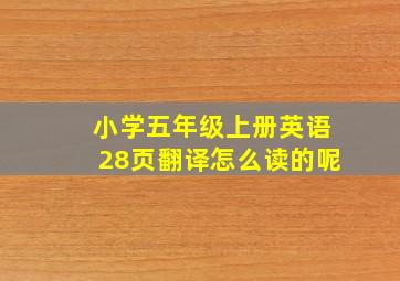 小学五年级上册英语28页翻译怎么读的呢