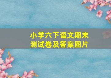 小学六下语文期末测试卷及答案图片