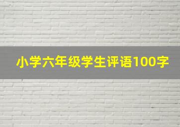 小学六年级学生评语100字