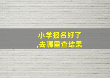 小学报名好了,去哪里查结果