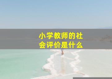 小学教师的社会评价是什么