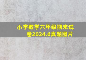 小学数学六年级期末试卷2024.6真题图片