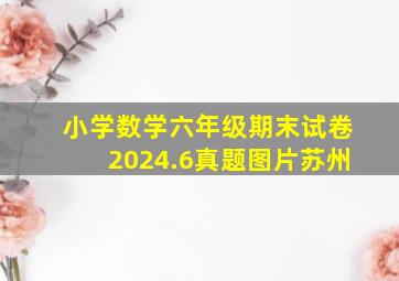 小学数学六年级期末试卷2024.6真题图片苏州