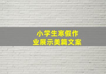 小学生寒假作业展示美篇文案