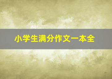 小学生满分作文一本全