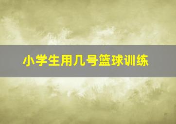 小学生用几号篮球训练