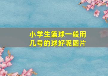 小学生篮球一般用几号的球好呢图片