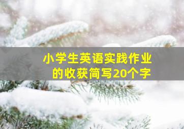 小学生英语实践作业的收获简写20个字