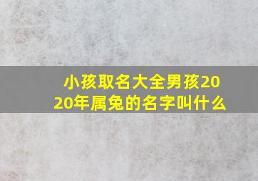 小孩取名大全男孩2020年属兔的名字叫什么