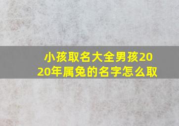 小孩取名大全男孩2020年属兔的名字怎么取