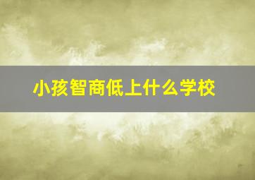 小孩智商低上什么学校