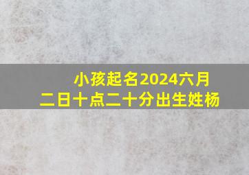 小孩起名2024六月二日十点二十分出生姓杨