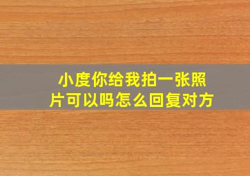 小度你给我拍一张照片可以吗怎么回复对方