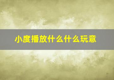 小度播放什么什么玩意