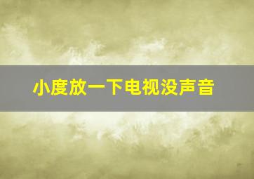 小度放一下电视没声音