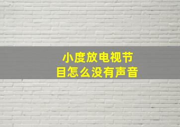 小度放电视节目怎么没有声音