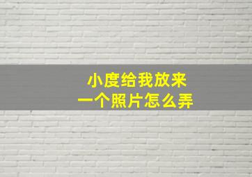 小度给我放来一个照片怎么弄