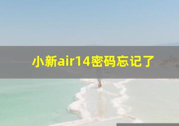 小新air14密码忘记了