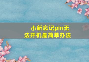 小新忘记pin无法开机最简单办法