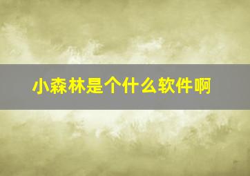 小森林是个什么软件啊