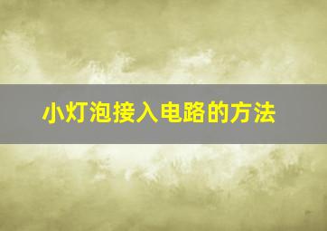 小灯泡接入电路的方法