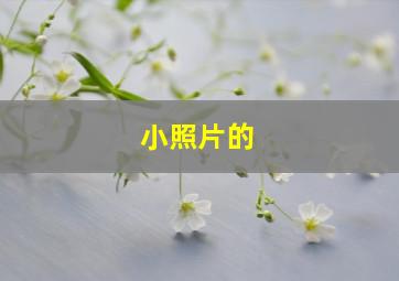 小照片的