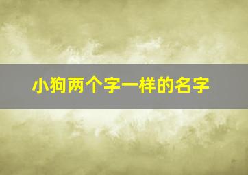 小狗两个字一样的名字