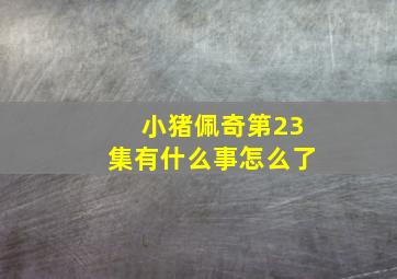 小猪佩奇第23集有什么事怎么了