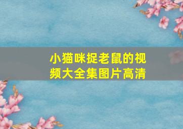 小猫咪捉老鼠的视频大全集图片高清