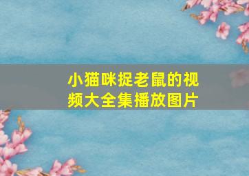 小猫咪捉老鼠的视频大全集播放图片