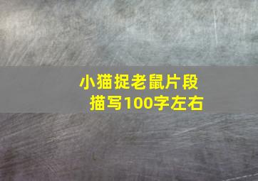 小猫捉老鼠片段描写100字左右