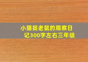 小猫捉老鼠的观察日记300字左右三年级