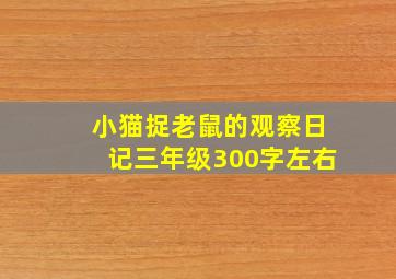 小猫捉老鼠的观察日记三年级300字左右