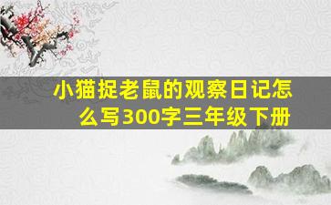 小猫捉老鼠的观察日记怎么写300字三年级下册