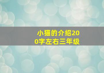 小猫的介绍200字左右三年级