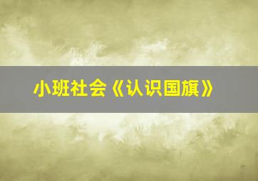 小班社会《认识国旗》