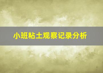 小班粘土观察记录分析