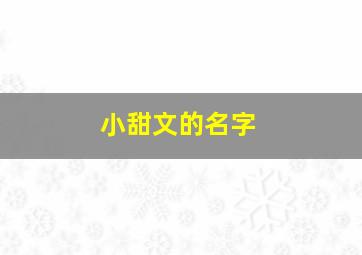 小甜文的名字