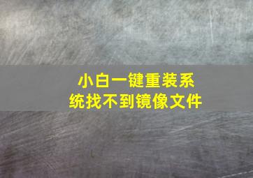 小白一键重装系统找不到镜像文件