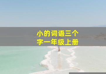 小的词语三个字一年级上册