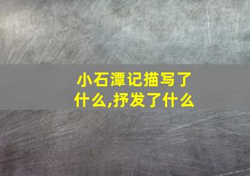 小石潭记描写了什么,抒发了什么