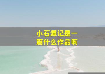 小石潭记是一篇什么作品啊